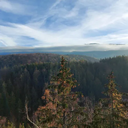 Apartment Apartament Zielony