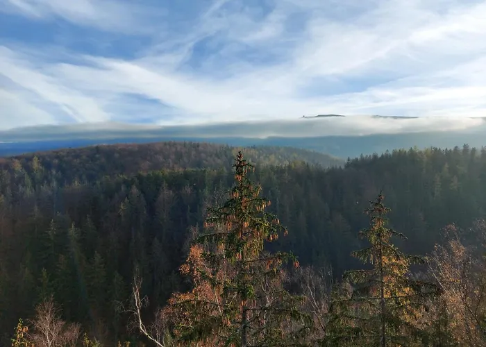 아파트 Apartament Zielony