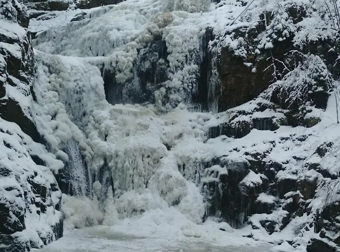 Apartament Zielony *