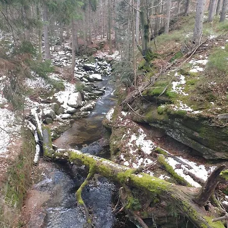 Apartmán Apartament Zielony *