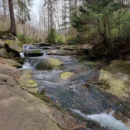 Apartament Zielony *