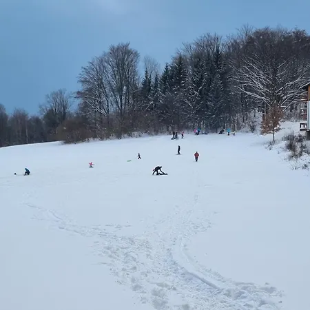 Apartament Zielony Apartmán