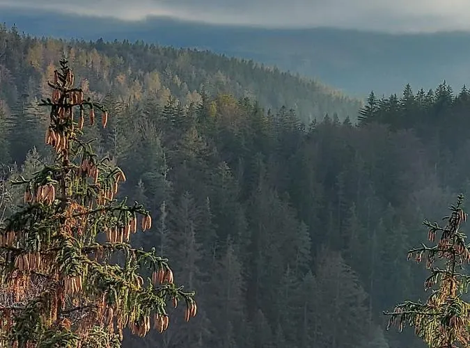 Apartament Zielony *