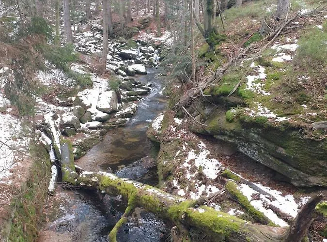 Apartamento Apartament Zielony *