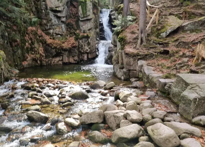 Apartamento Apartament Zielony *