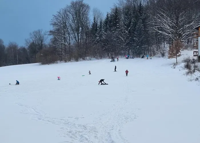 Apartament Zielony Apartamento